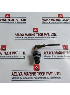 Sensore Induttivo IFM Elettronica IFS244