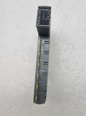 B&R Automazione X20 DS 1119 Digitale Controllo Modulo Gratis