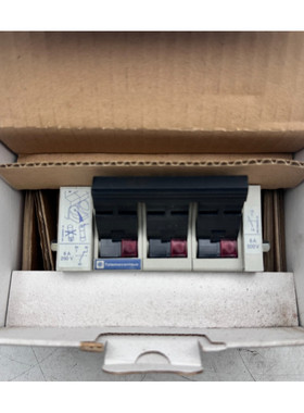 TELEMECANIQUE GK1EV 025646 SECTIONNEUR 50A 30+1F+1DPMM