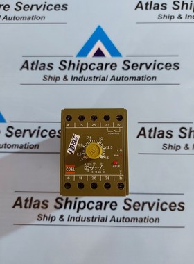 Coel PIM 1AM P / AC 110/220VAC Relè