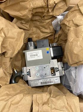 ECOFLAM 3123560 GT-D1-MBDLE405-RP20-40-120 DUNGS MB-DLE 405