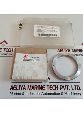 Cameron BX-153 S-316 Gasket Ring 1933103