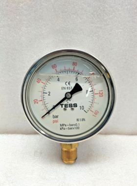 TESS GLY GUAGE A,100D,10 BAR/140 psi,1/2 英寸 BSP,BM