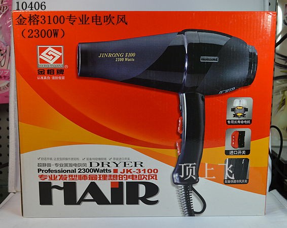 10406专业电吹风3100