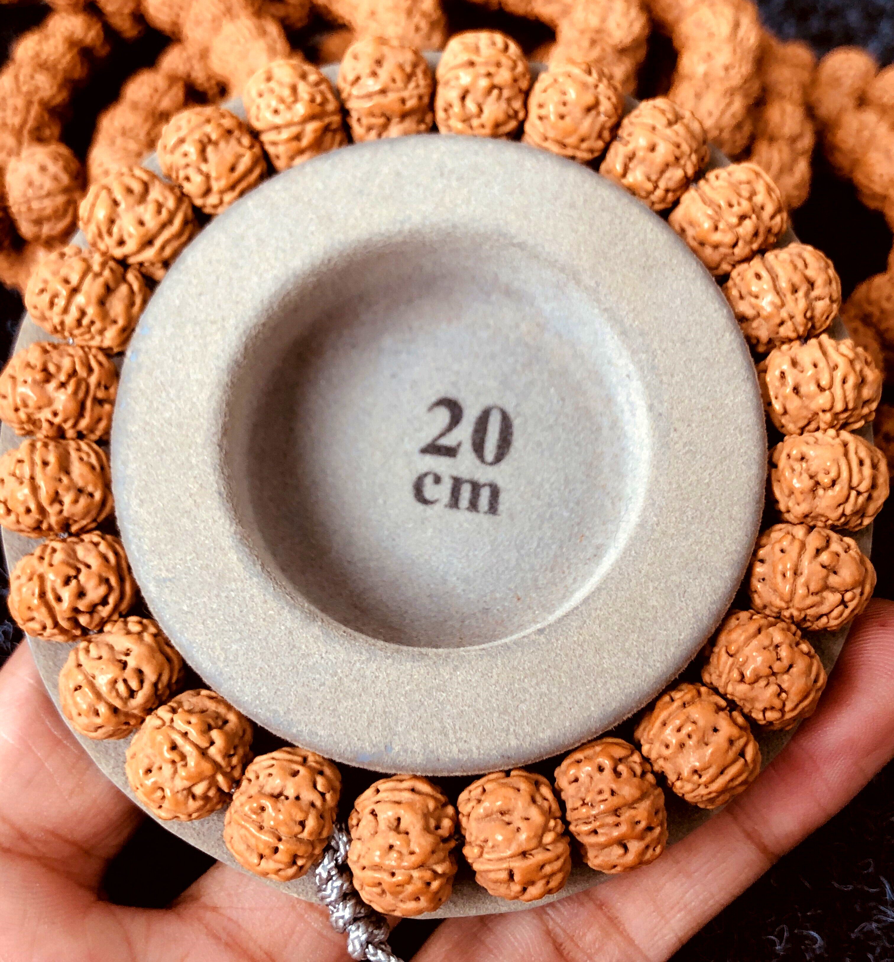 精选树王籽 爆肉蜂窝双龙纹 小金刚菩提子小金刚手串手持手链佛珠