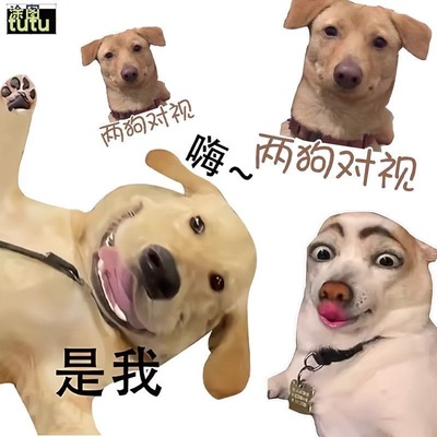 汽车贴纸搞笑恶搞狗狗创意个性车