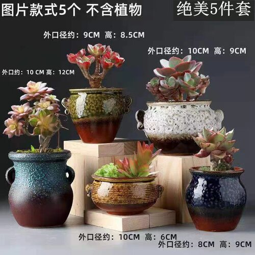 多肉花盆大小口径粗陶紫砂创意多肉植物复古陶瓷盆简约特价清仓 - 封面