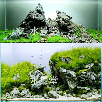 青龙石造景套餐 沉木杜鹃根水草鱼缸鱼缸底砂造景 小型鱼缸水草