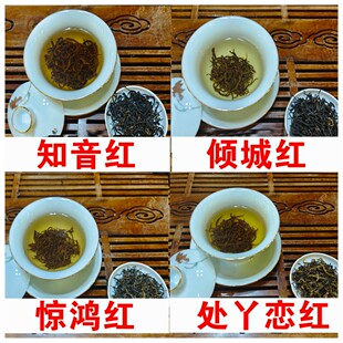 卡洞2025新茶湘西保靖黄金茶红茶春茶散装浓香耐泡250克好茶