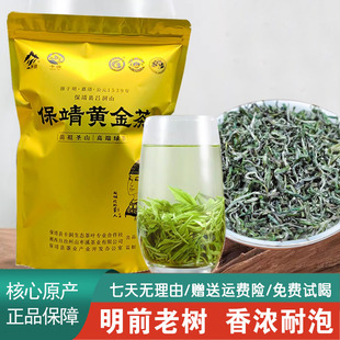 湖南湘西特产绿茶保靖黄金茶明前茶群体老树茶味浓耐泡250克