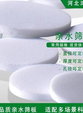 亲水筛板 聚乙烯PE AC亲和层析柱筛板滤芯 9mm≤直径 ＜15mm