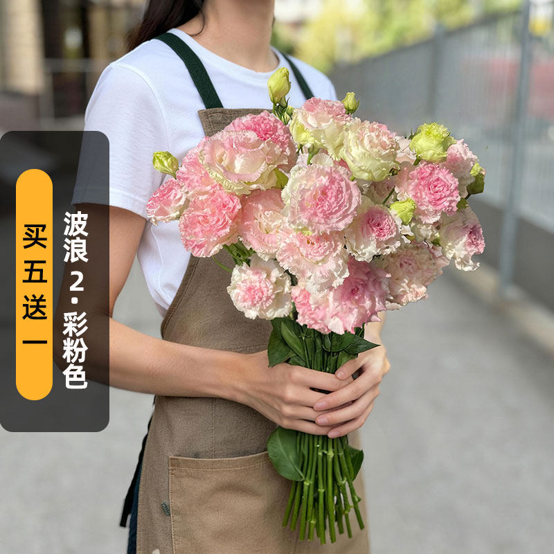 进口洋桔梗种子波浪2/彩粉色Pink flash冰淇淋重瓣切花盆栽秋播图片