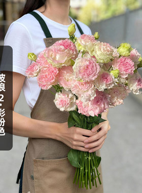 进口洋桔梗种子波浪2/彩粉色Pink flash冰淇淋重瓣切花盆栽秋播