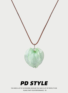 PDSTYLE天然灯笼果吊坠项链
