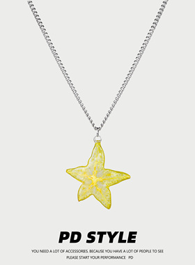 PDSTYLE真切片杨桃百搭钛钢项链