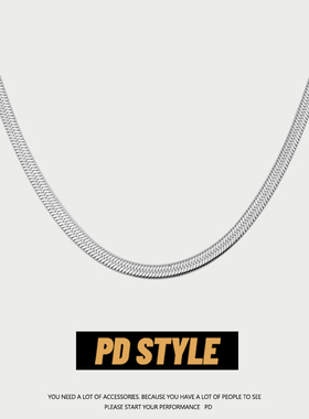 PDSTYLE 冷淡风简约百搭宽版蛇骨项链男士潮酷小众不掉色配饰女