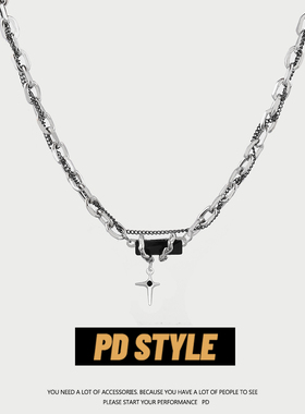 PDSTYLE 欧美暗黑风锆石缠绕钛钢项链男生小众高级感潮酷锁骨链女