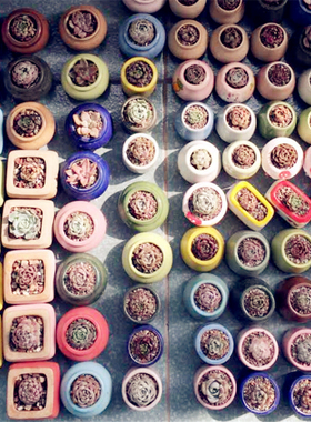 拇指盆韩国新款灰色收口白色简约组合控型韩盆小多肉迷你粗陶花盆