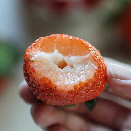 悟空家隋珠香野红草莓红色果肉日引新品种新鲜孕妇宝宝水果云南