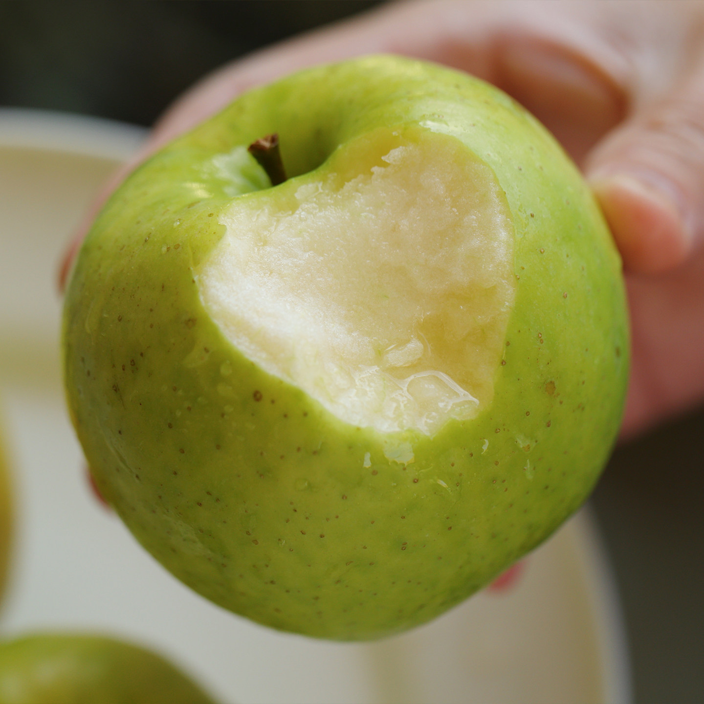 悟空家有机蜜雪苹果青苹果新鲜孕妇水果宝宝辅食现摘瑞雪平果当季,水产肉类/新鲜蔬果/熟食,苹果,淘宝优惠券,粉丝福利购,淘宝优惠卷