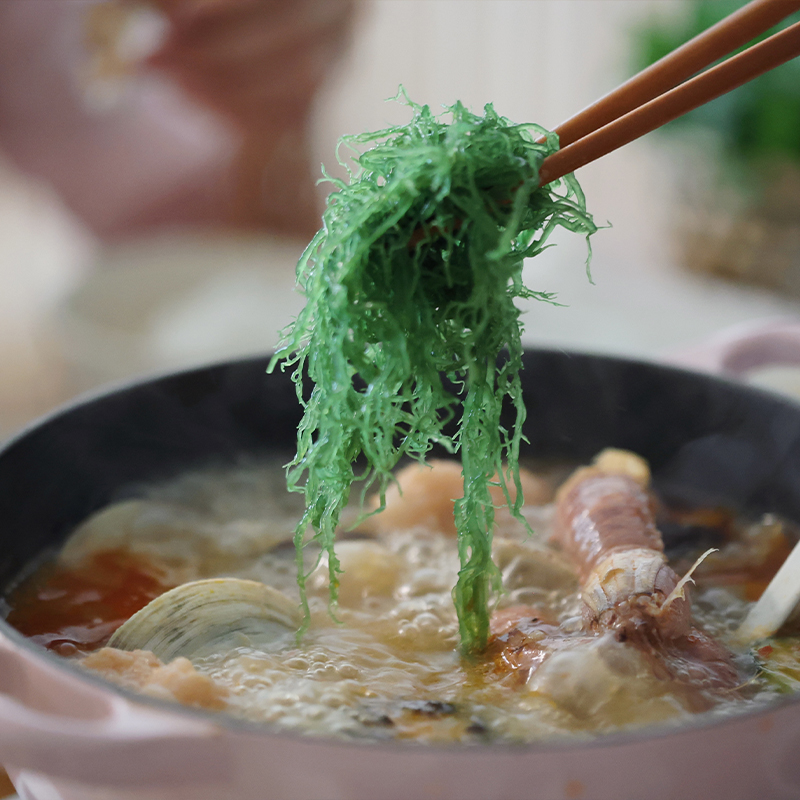 SF!悟空家海南糟粕醋火锅底料特色蘸料酸甜辣汤底文昌调味