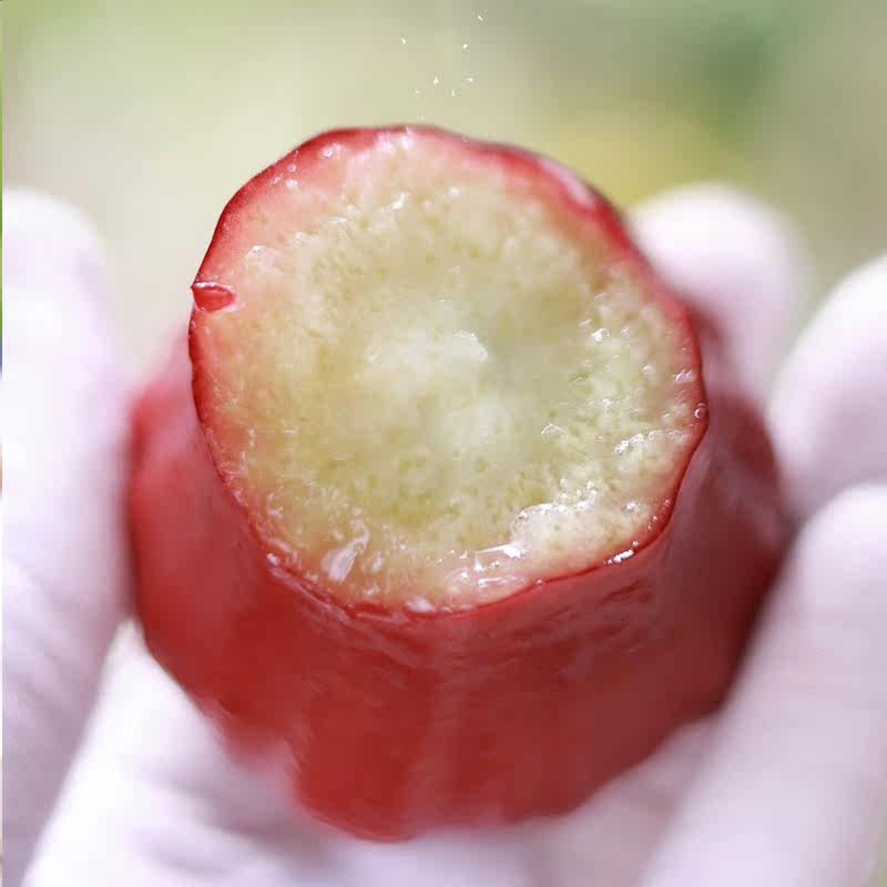 悟空家黑金刚莲雾黑糖芭比大果脆甜新鲜水果孕妇时令现摘海南三亚,水产肉类/新鲜蔬果/熟食,莲雾,淘宝优惠券,粉丝福利购,淘宝优惠卷