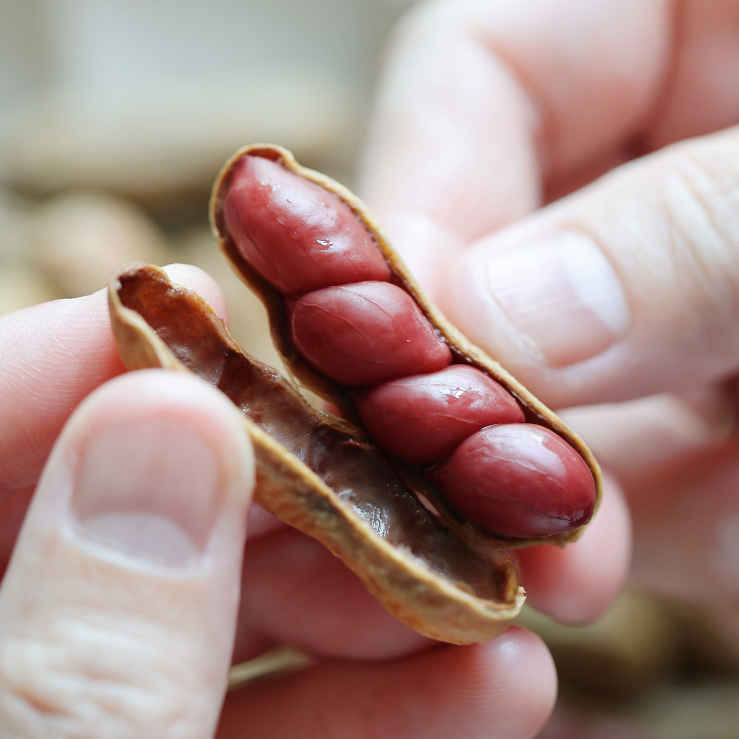 悟空家骨汤卤花生鲜汤卤味花生米带壳真空开袋即食下酒菜水煮花生,零食/坚果/特产,花生,淘宝优惠券,粉丝福利购,淘宝优惠卷