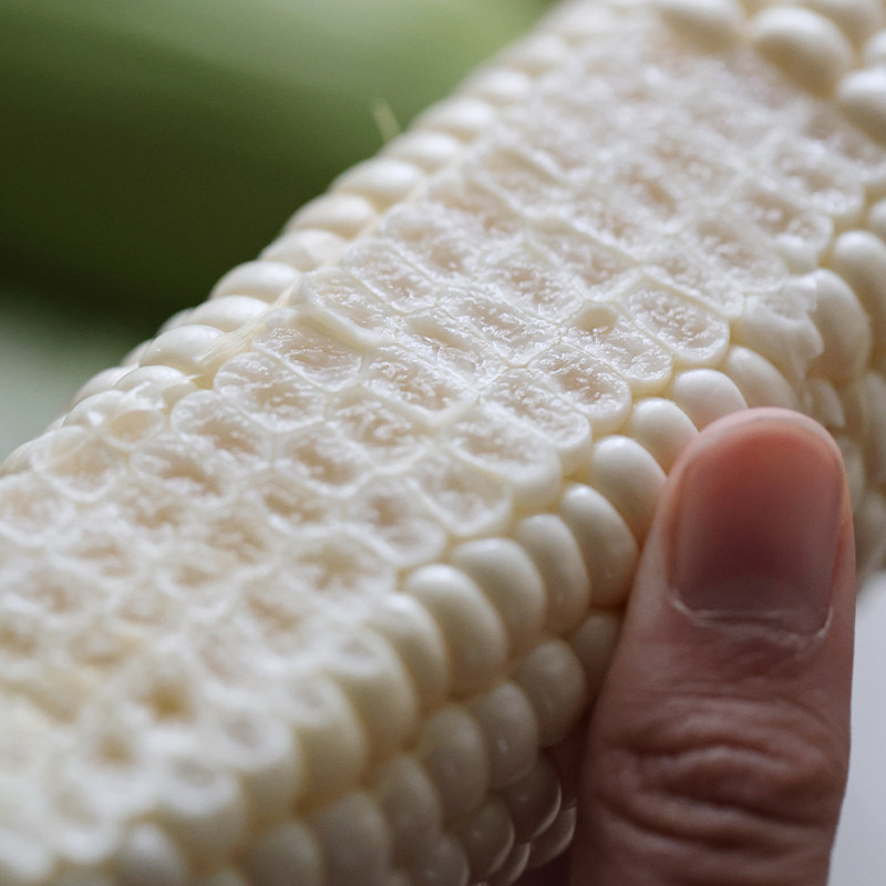 SF！悟空家 牛奶冰糖玉米 新鲜水果白玉米可生食满口爆浆甜嫩多汁,水产肉类/新鲜蔬果/熟食,新鲜玉米,淘宝优惠券,粉丝福利购,淘宝优惠卷