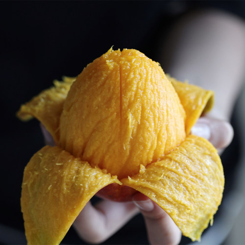 悟空家晚熟爱文芒树熟当季时令热带芒果皇后海南三亚新鲜孕妇水果