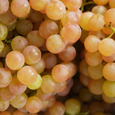 SF空运！悟空家香水珍珠葡萄原装进口提子新鲜水果皮薄鲜嫩多汁
