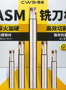 ASM铣刀杆1135 铣刀300R直角铣刀杆加工中心抗震1135刀杆加长R0.8
