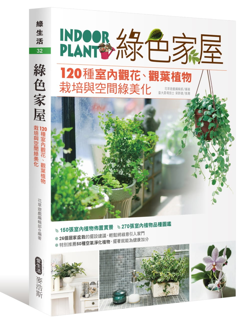 预售 花草游戏编辑部《绿色家屋：120种室内观花、观叶植物栽培与空间绿美化》麦浩斯