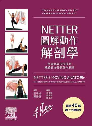现货  Stephanie Marango《NETTER 图解动作解剖学》中国台湾爱思唯尔