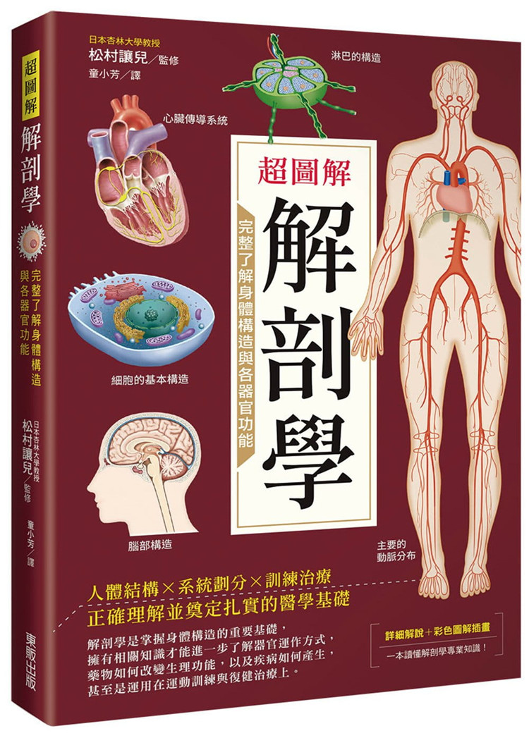 预售  松村让儿 超图解解剖学：完整了解身体构造与各器官功能 中国台湾东贩