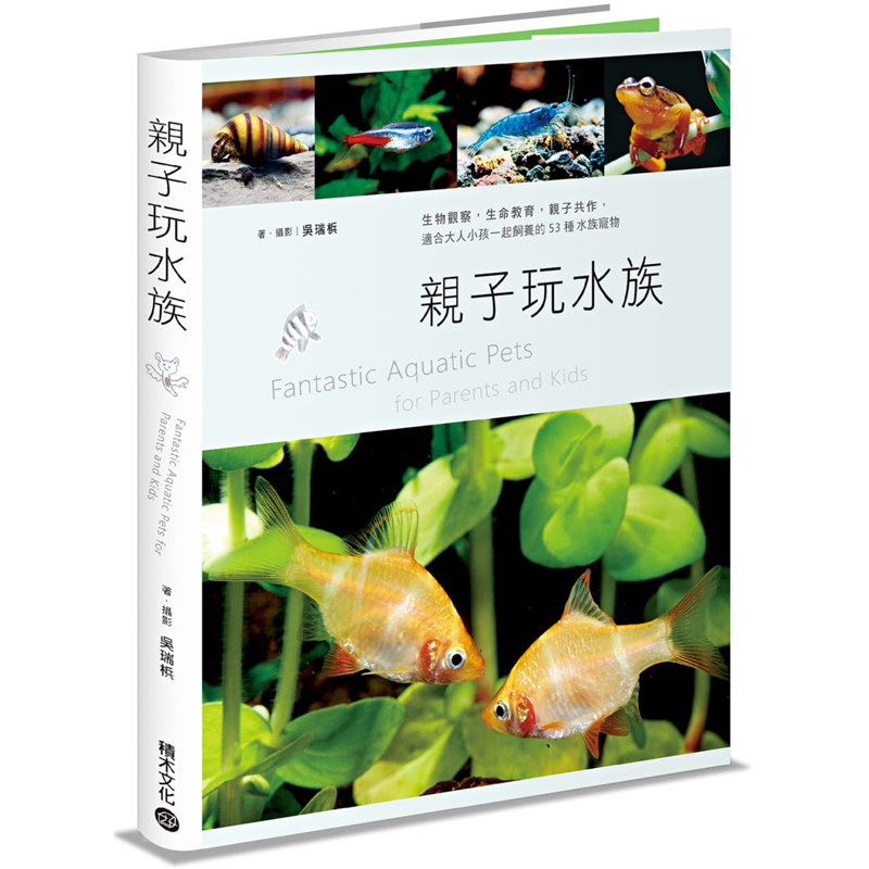 亲子玩水族适合大人小孩一起饲养