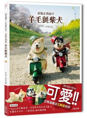 呆萌又俏皮の羊毛氈柴犬