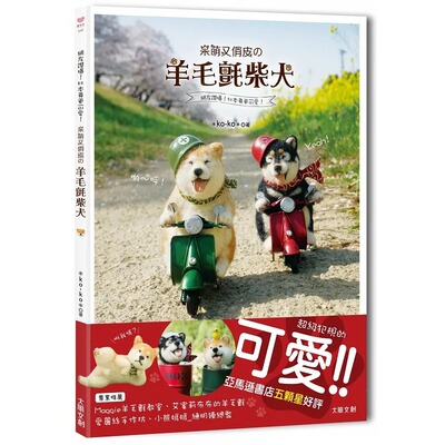 呆萌又俏皮の羊毛氈柴犬