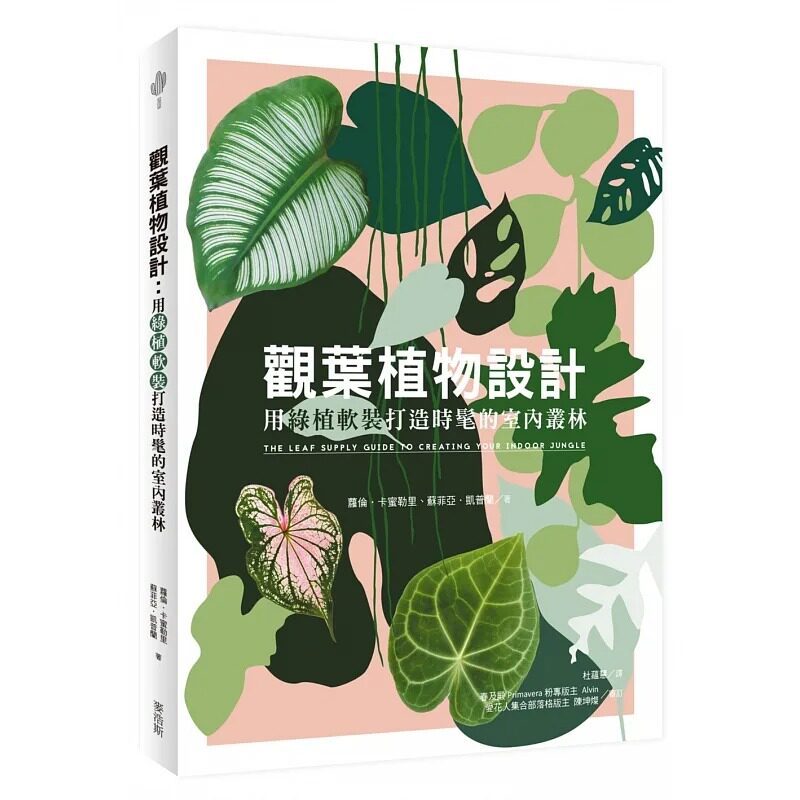 现货 观叶植物设计：用绿植软装打造时髦的室内丛林 从动机 选物 造型重点到风格建立的设计心法 麦浩斯 萝伦 卡蜜勒里 生活风格