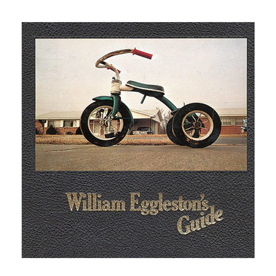 英文原版威廉埃格斯顿摄影集