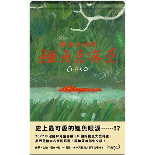 预售 掉进坑里的鳄鱼克洛克 大块文化 阿苏尔・罗培兹