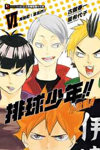 小说版 奔驰吧 现货 排球少年 菜鸟们 东立 星希代子