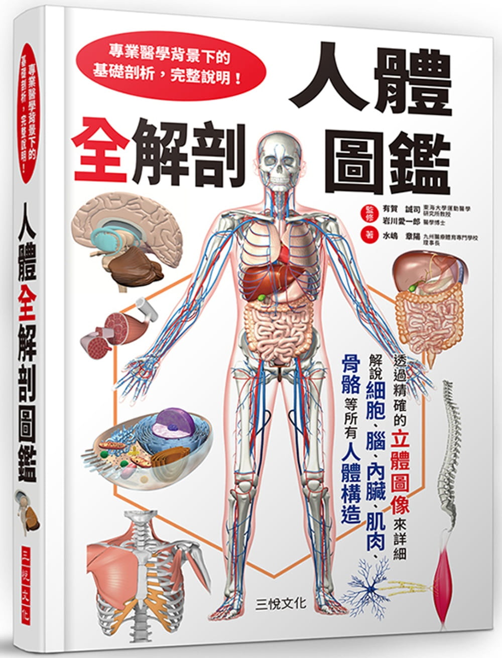 水嶋章阳人体全解剖图鉴