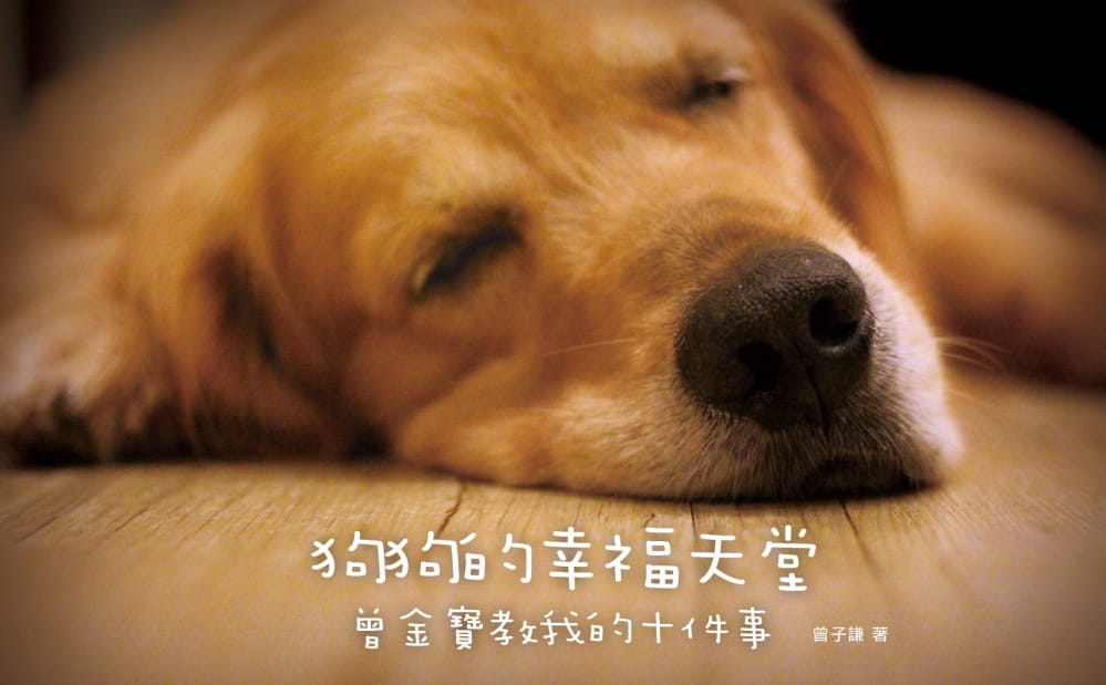 预售 曾子谦《狗狗的幸福天堂：曾金宝教我的十件事》水灵文创