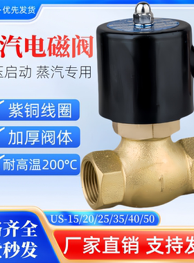 高温蒸汽阀电磁阀2L/US-15/20/25/35/40/50控制阀AC220V4分6分1寸