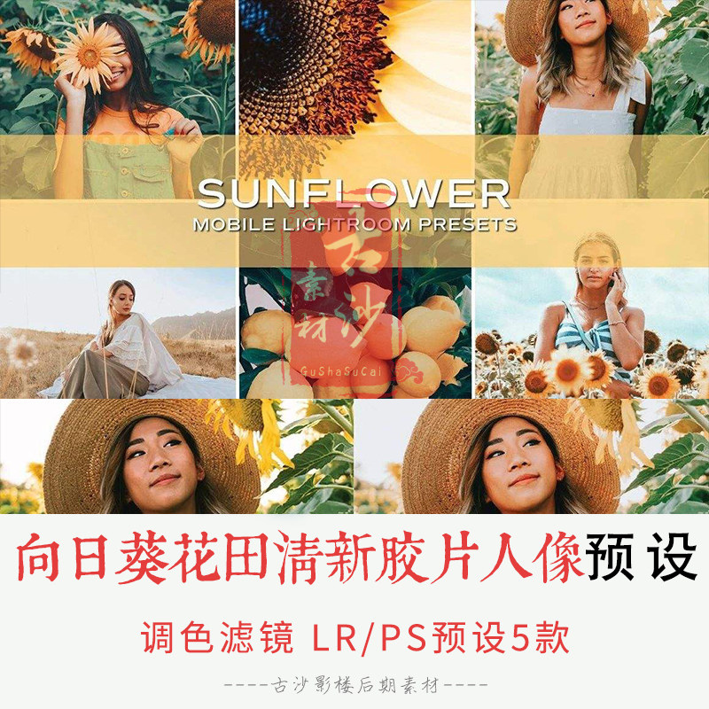0302-LR+PS预设 向日葵花田清新胶片人像LRPS预设+APP预设 5款