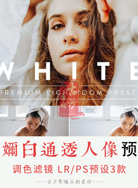 0244-LR+PS预设 牛奶白通透人像LRPS预设移动APP调色滤镜 3款