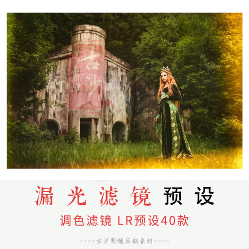 021-LR预设 40个漏光滤镜lightroom人像预设