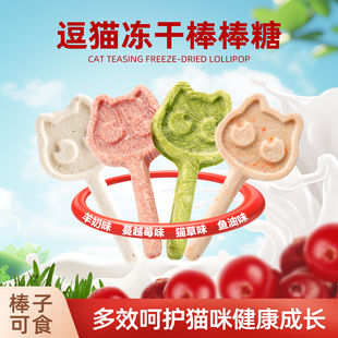 迪迪妈猫咪零食冻干棒棒糖12支宠物增肥磨牙猫草蔓越莓奖励小零食