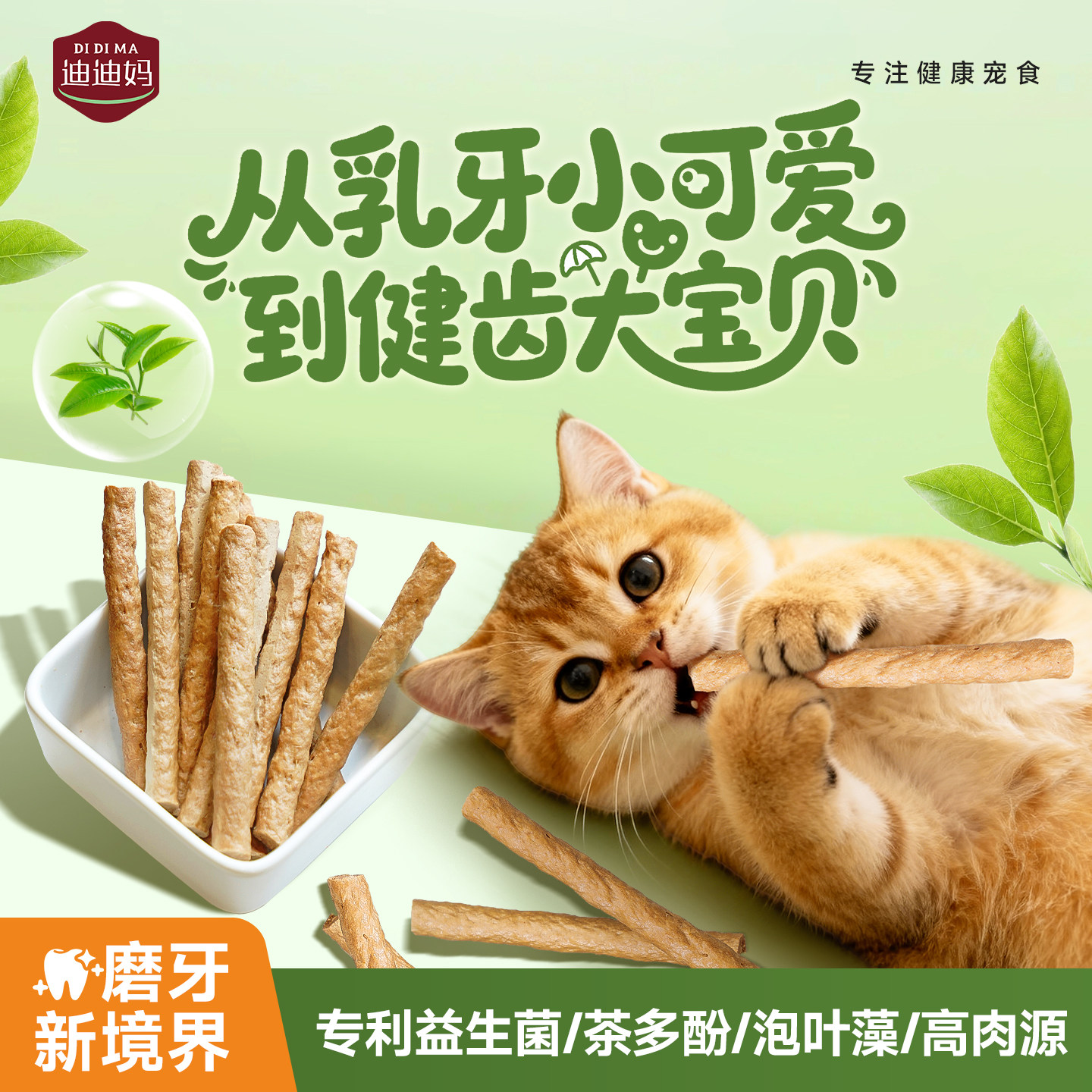 迪迪妈猫冻干生骨肉磨牙猫咪零食益生菌清口气幼猫专用磨牙棒狗狗,宠物/宠物食品及用品,猫冻干零食,淘宝优惠券,粉丝福利购,淘宝优惠卷