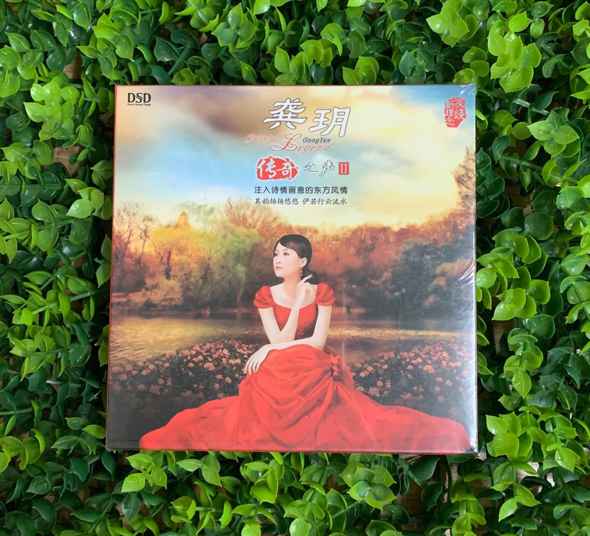 正版发烧CD 龚玥 传奇之声2 龚月1CD DSD碟片爱上草原爱上你